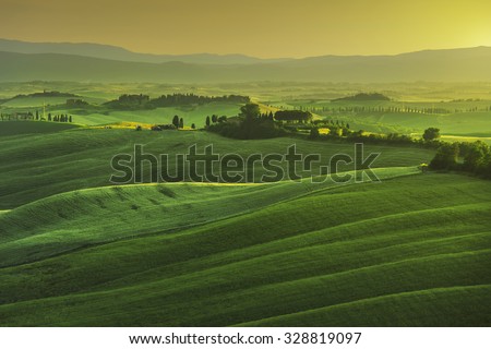 Tuscany spring, rolling hills on misty sunset. Rural landscape. Green fields and farmlands. Italy, Europe