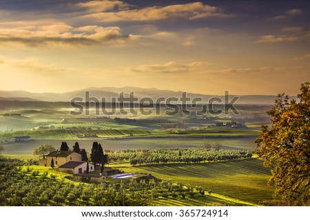Tuscany Maremma foggy morning, farmland and green fields country landscape. Italy, Europe.