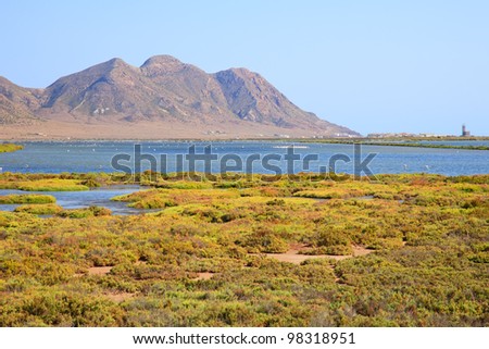 Salt flats lagoon and Flamingos. Cabo de Gata - Nijar Park is Andalusia \'s largest protected area. Spain, Europe. Unesco biosphere.