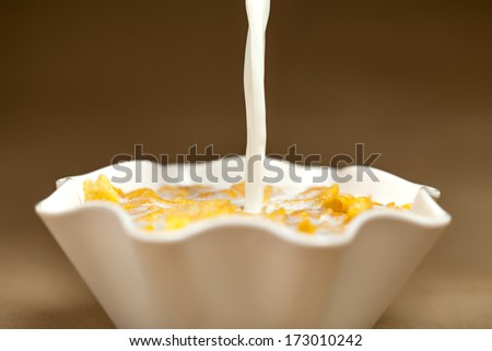 Yellow cornflakes in white bowl with milk