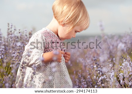 Kid girl 2-3 year old walking in lavender meadow. Wearing trendy dress in rustic style Looking down. Childhood.