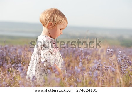 Cute baby girl 2-3 year old walking in lavender field outdoors. Looking down. Childhood.