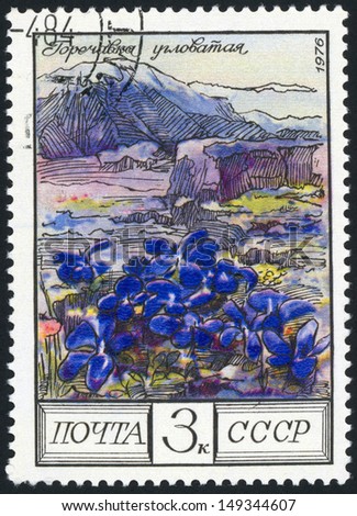 RUSSIA - CIRCA 1976: post stamp printed in USSR (CCCP, soviet union) shows image of gentian (gentiana) from flowers of the Caucasus series, Scott catalog 4507 A2135 3k blue multicolor, circa 1976