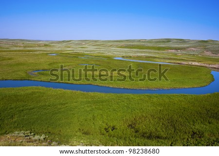 summer landscape with green grass river and cloudless sky in yellowstone national park