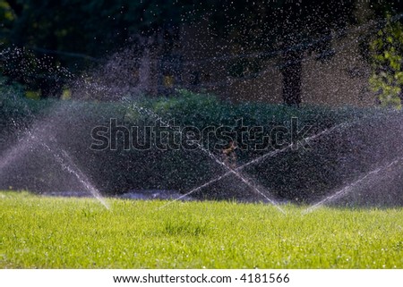 watered a lawn in back lighting by a sunlight