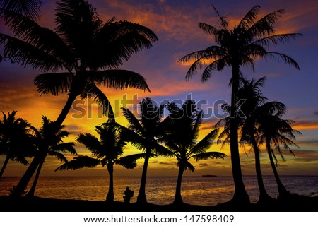 Sunset Silhouette with Coconut Palms and Guitar player.