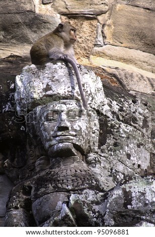 Temple Monkey at Angkor Thom South Gate, Angkor Wat World Heritage site, Siem Reap, Cambodia.