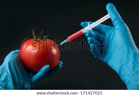 Scientist injected red liquid in the syringe into tomato