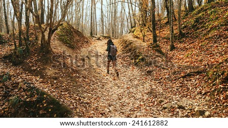 Hiker woman walking in beautiful autumn forest, rear view. Dry yellow leaves on land. Hiking and leisure theme