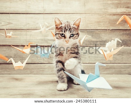 Cute little kitten playing with colorful paper origami birds cranes and looking at camera on wooden background