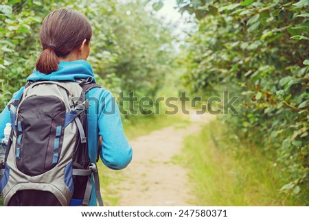 Unrecognizable hiker woman with backpack going on path in summer, rear view