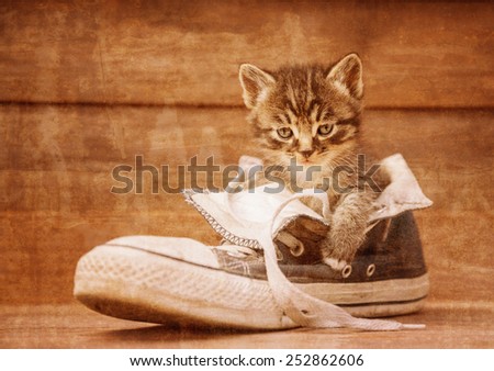 Little kitten is sitting in a shoe on a wooden background. Vintage image