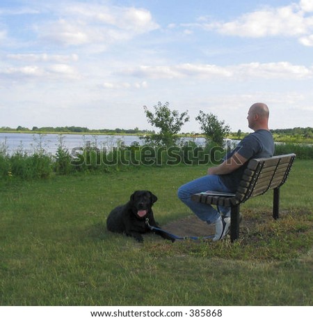 bald headed man sitting on a bench with his lab dog nearby