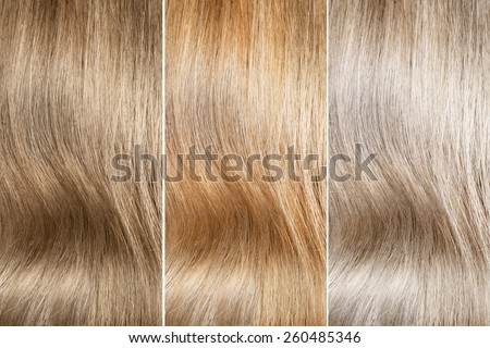 Hair colors palette blonde hair