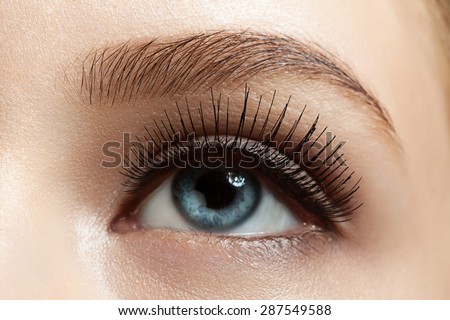 Close-up of make-up eye with long eyelashes and brown eyebrows