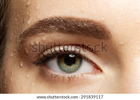 Close-up of natural make-up eye with black eyelashes and brown eyebrows with water drops