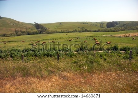 California Farm Country