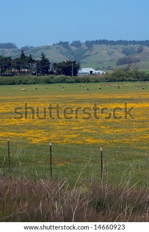 California Farm Country