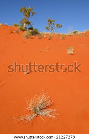 australia red desert