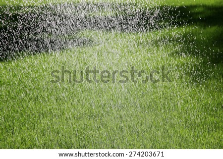 Sprinkler Watering the Lawn blur