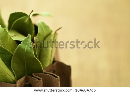 dry laurel leaves (Laurus nobilis)