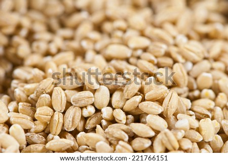 close up of pearl barley
