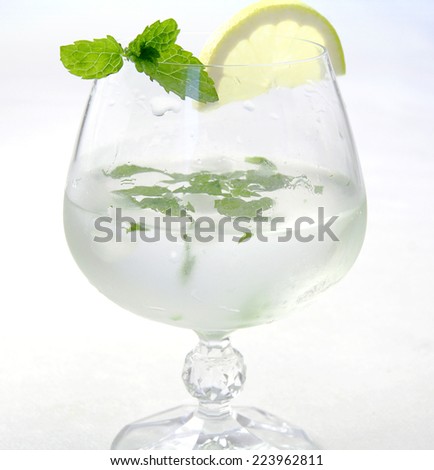 Ice drink with lemon and mint