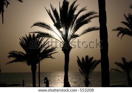 sunset in Tenerife, Playa de las Americas