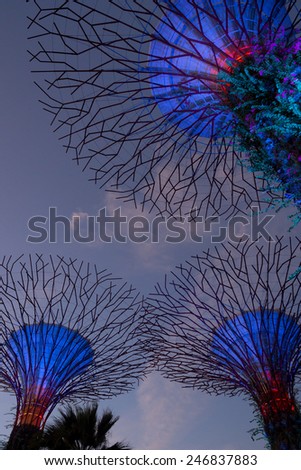 SINGAPORE - JAN 15: Gardens by the Bay at dusk on JAN 15, 2015 in Singapore. Gardens by the Bay was crowned World Building of the Year at the World Architecture Festival 2012