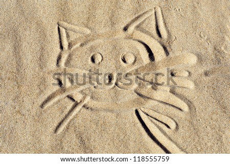 Kitten face drawing  on beach sand.