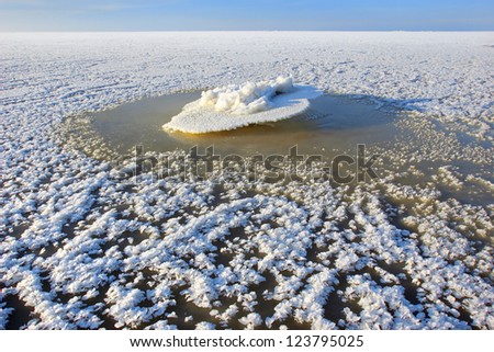 Piece of ice on sea stone raised up by water; sudden frost has created beautiful ice-flakes on frozen water-field.