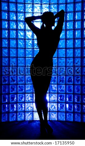 Sexy Silhouette female on a blue glass wall