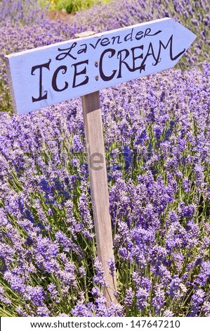 Point sign Ice Cream on the lavender field, lavender farm, Sequim, WA