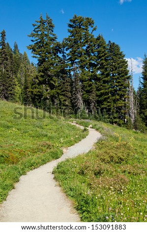 Mountain Rainier, Paradise Valley, Skyline Trail path