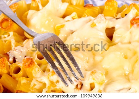 Macaroni with the cheese