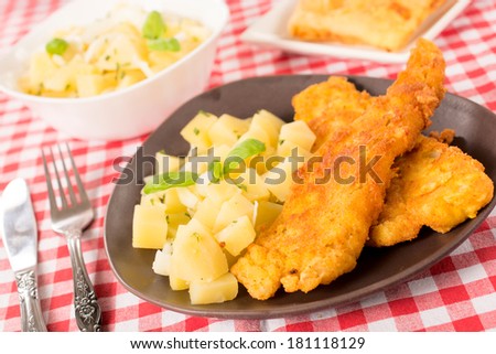 Selective focus on the fried catfish and potato salad in the plate