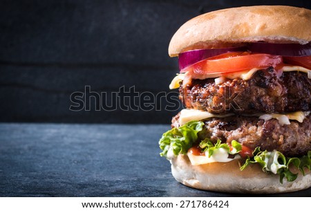 Double cheeseburger with onion,selective focus and blank space
