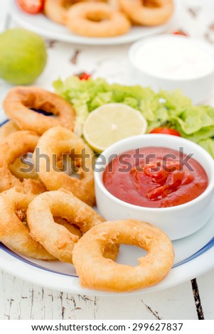 Fried squid rings and ketchup in the plate,selective focus