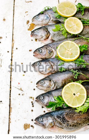 Raw trout fish on the table from above,selective focus and blank space