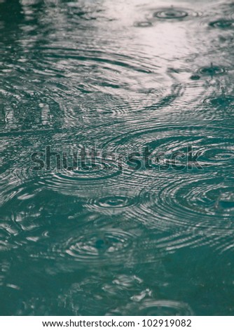 Spring Raindrops on Water - water droplets hitting a pool of water during a rain storm make a brilliant pattern