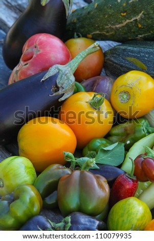 Fall Harvest Color - vertical orientation of fall vegetable harvest with many colors