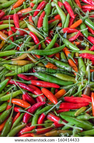 vertical orientation of brightly colored variety of sweet peppers with copy space / Vertical Sweet Peppers
