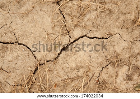 horizontal orientation close up of barren, cracking, scorched earth with dried grass accents and copy space / Close up of Drought