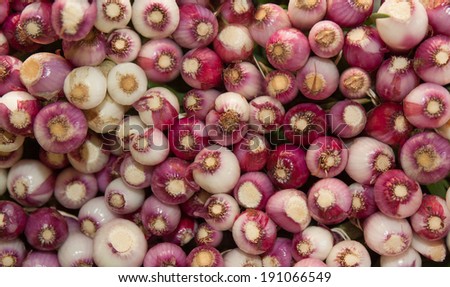 horizontal orientation close up of bunches of brightly colored, small, red onions stacked on top of each other with copy space / Horizontal small Red Onions
