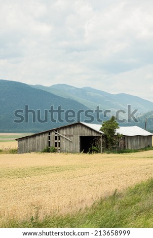 vertical orientation of fields of golden grain and a rustic wooden barn in the foreground, with the Selkirk Mountain Range in the background and copy space / Rustic Barn and Selkirk Mountain Range