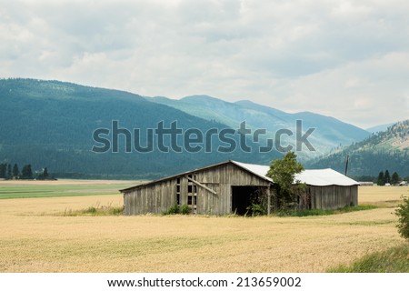 horizontal orientation of fields of golden grain and a rustic wooden barn in the foreground, with the Selkirk Mountain Range in the background and copy space / Rustic Barn and Selkirk Mountain Range