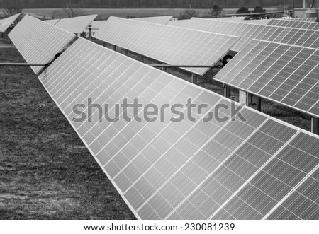 horizontal orientation black and white of solar panels stretched out in a field, with copy space / Solar Panels Black and White