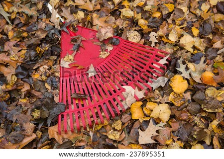 horizontal orientation with a bright, red, rake in the foreground, partly covered by fallen leaves of different colors / Useful Garden Tool - The Rake