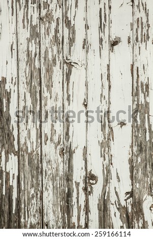 vertical orientation image of a section of vintage, antique, fencing with peeling paint in neutral colors, with copy space / Vintage Fencing - Vertical