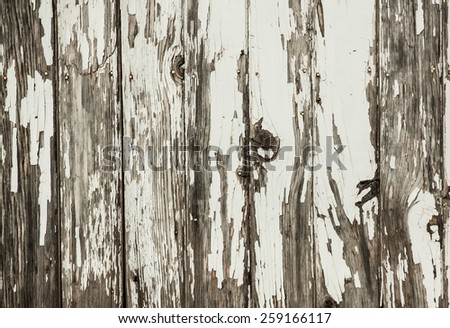 horizontal orientation image of a section of vintage, antique, fencing with peeling paint in neutral colors, with copy space / Vintage Fencing - Horizontal